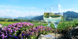 2 mit Weißwein gefüllte Weingläser im Blumenfeld mit violetten Blumen, Bergen im Hintergrund und blauem Himmel