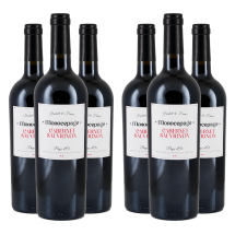 3+3 Monocepage Cabernet Sauvignon 2021