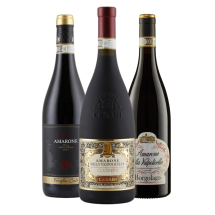 Amarone Favoriten