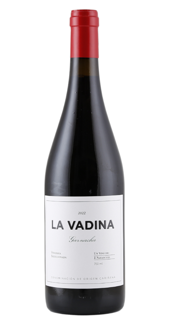 Jorge Navascues La Vadina 2022 SP011869 Silkes Weinkeller DE