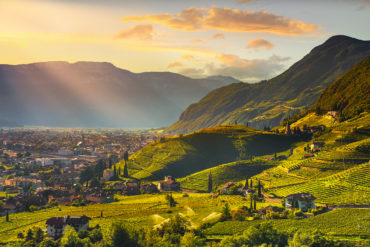 Kleine Region, aber hochqualitative Weine. Dies beschreibt die Kellerei Cantina Terlan am besten. Mit viel Mühe und Geduld entstehen unverwechselbare Weine.