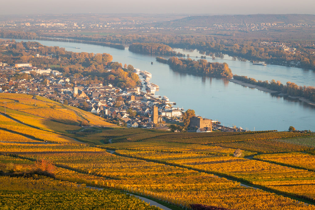 Die 13 Deutschen Weinanbaugebiete Rheingau